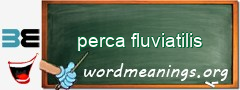 WordMeaning blackboard for perca fluviatilis